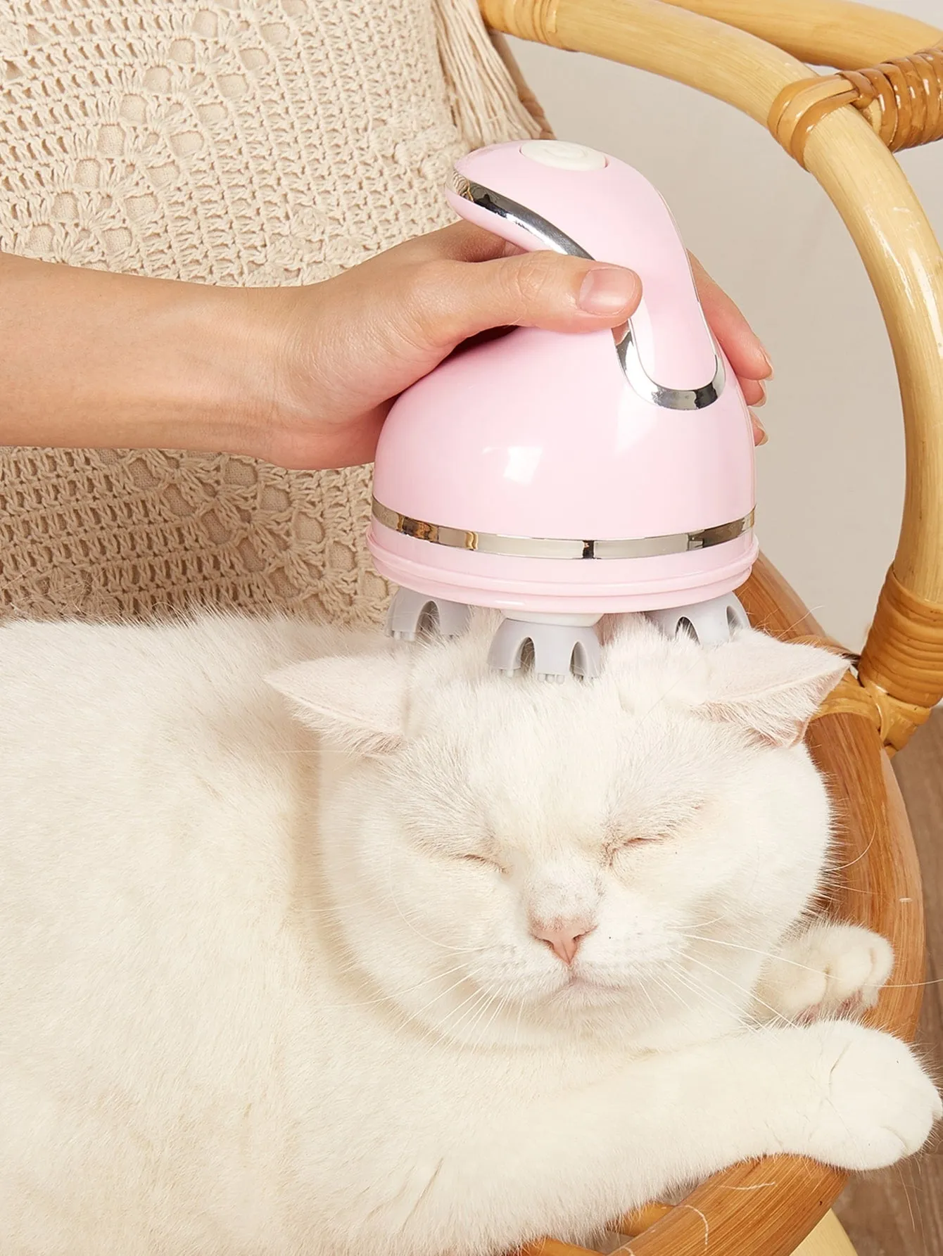 1pc Electric Pet Head Massage Brush