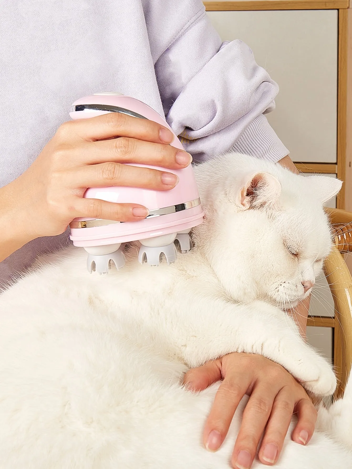 1pc Electric Pet Head Massage Brush