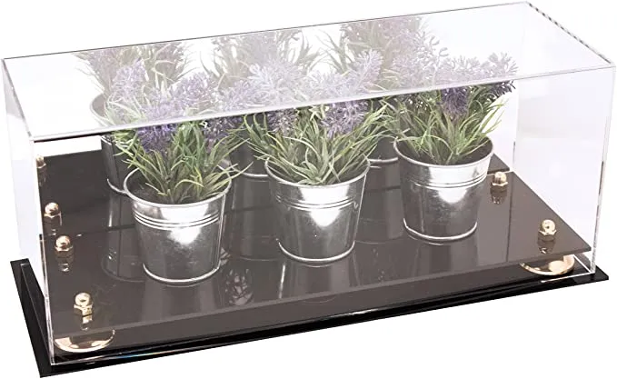 Acrylic Versatile Display Case  17 X 6 X 7 Mirror Wall Mounts (V46/A019)