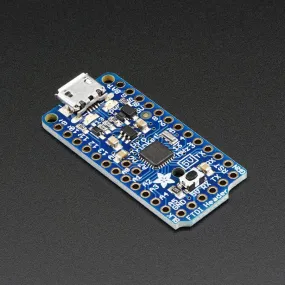 Adafruit Pro Trinket - 5v