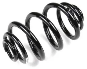 BMW Coil Spring – Rear 33531095736