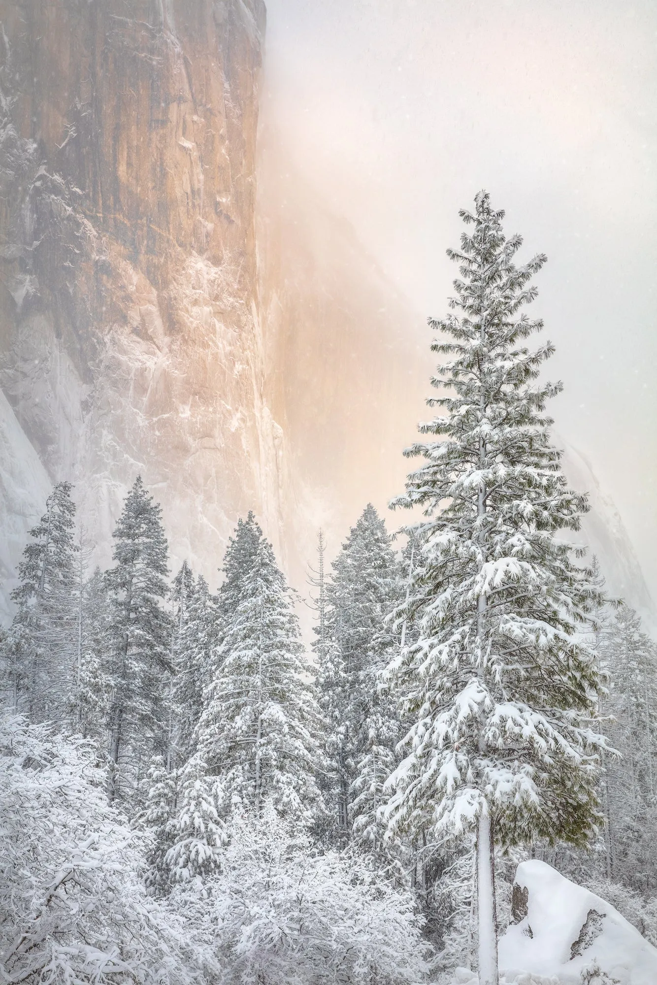 El Capitan Emerges