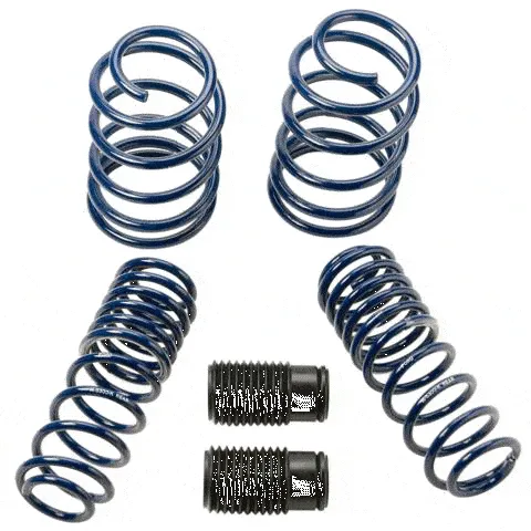 Lowering Spring Kit