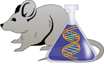 Mouse Factor XII Genetically Deficient Liver