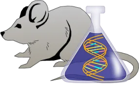 Mouse Factor XII Genetically Deficient Liver