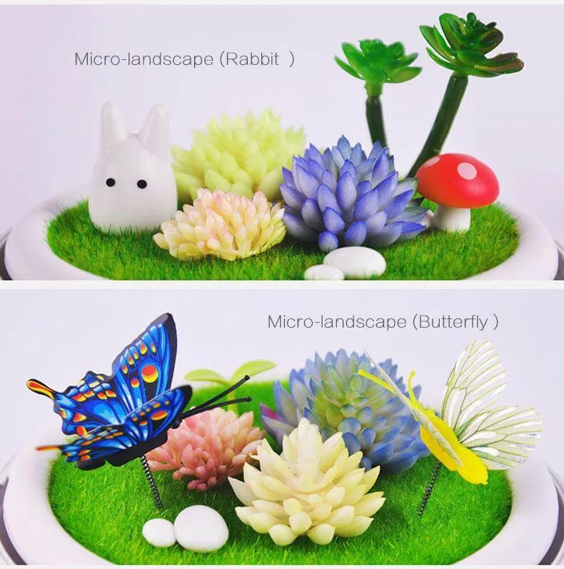 Novelty USB Charging LED Colorful Micro-landscape Plant Light