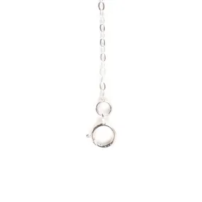 Silver Extender Chain