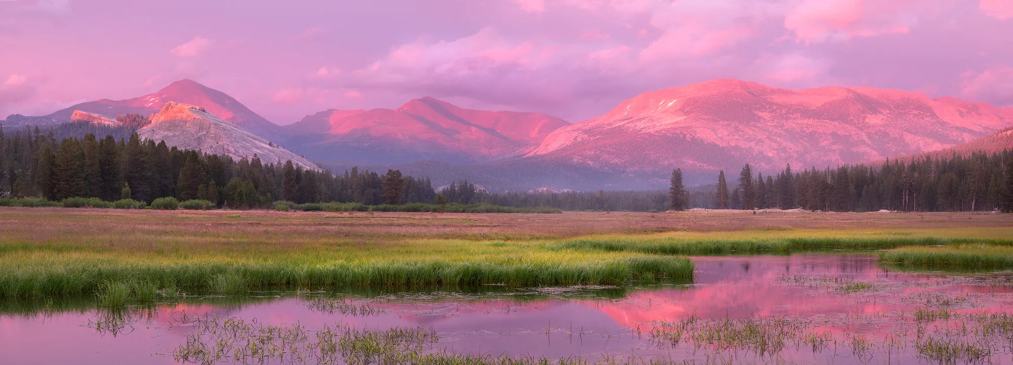 Tuolumne Meadows, Panorama